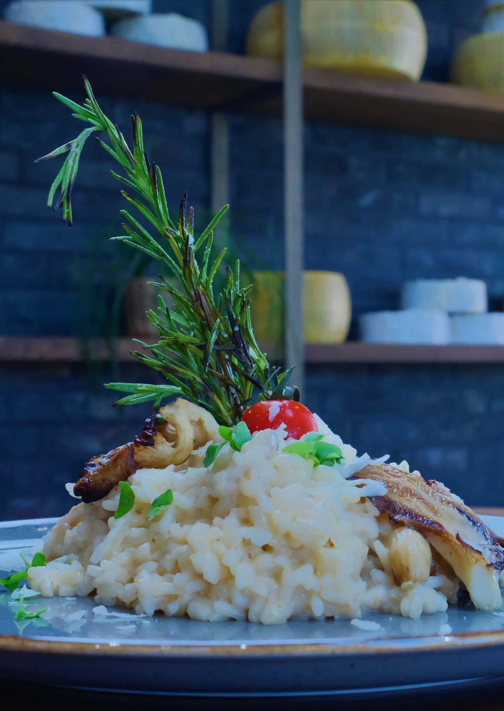 İstiridye mantarlı quattro formaggi risotto 